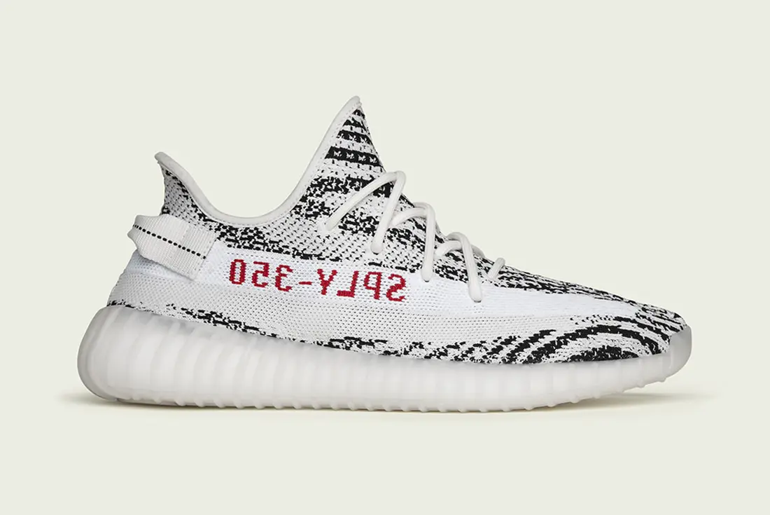 zebra.webp