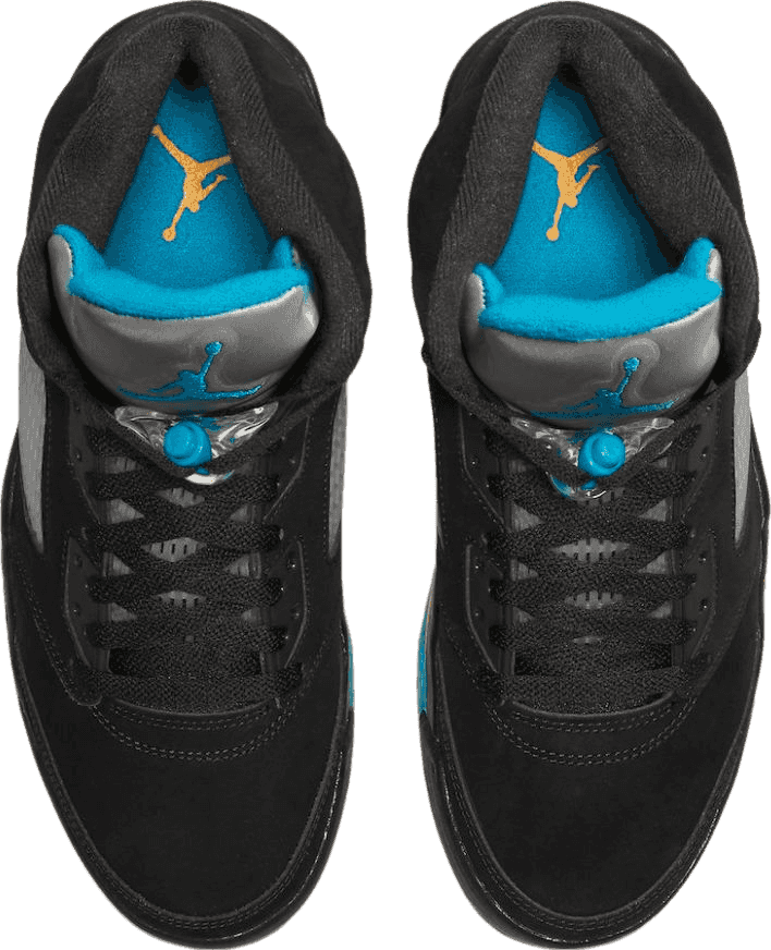 Air Jordan 5 Aqua