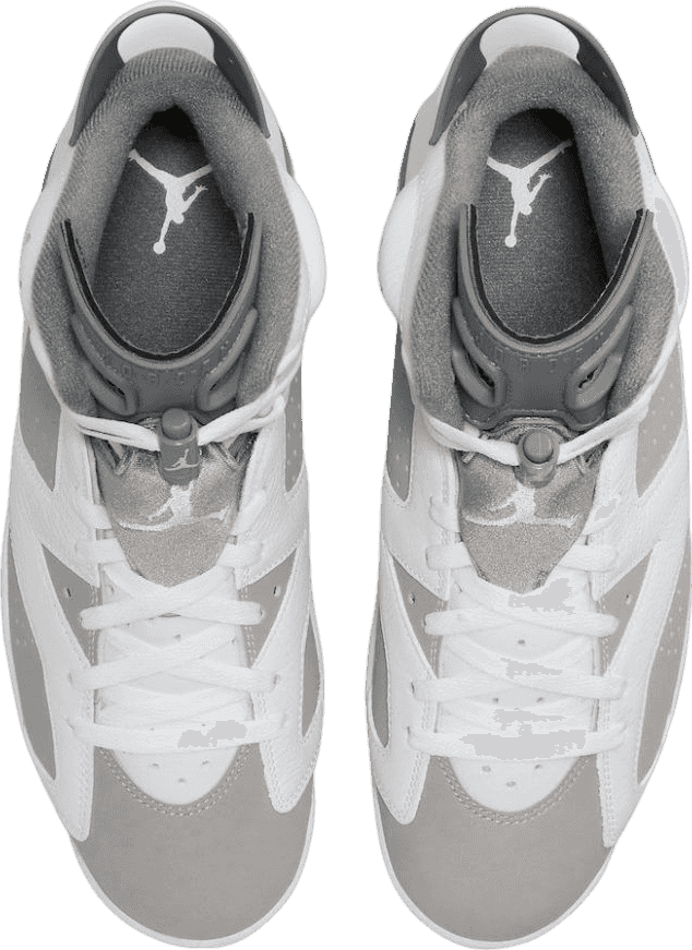 Air Jordan 6 Cool Grey