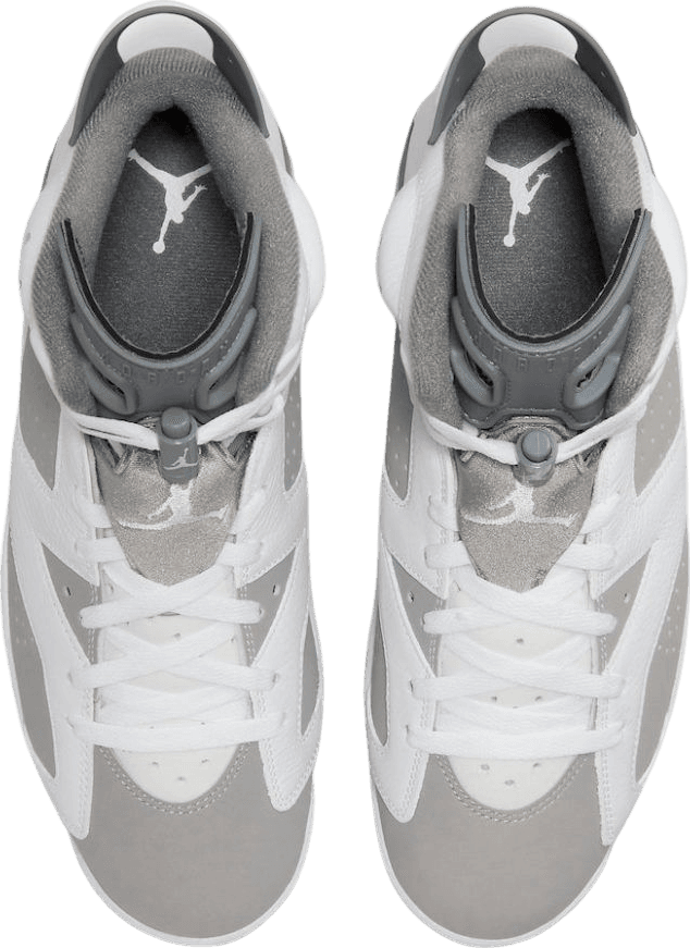 Air Jordan 6 Cool Grey