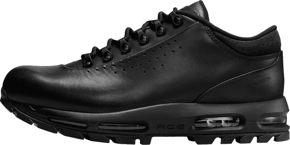 Nike Air Max Goadome Low Black