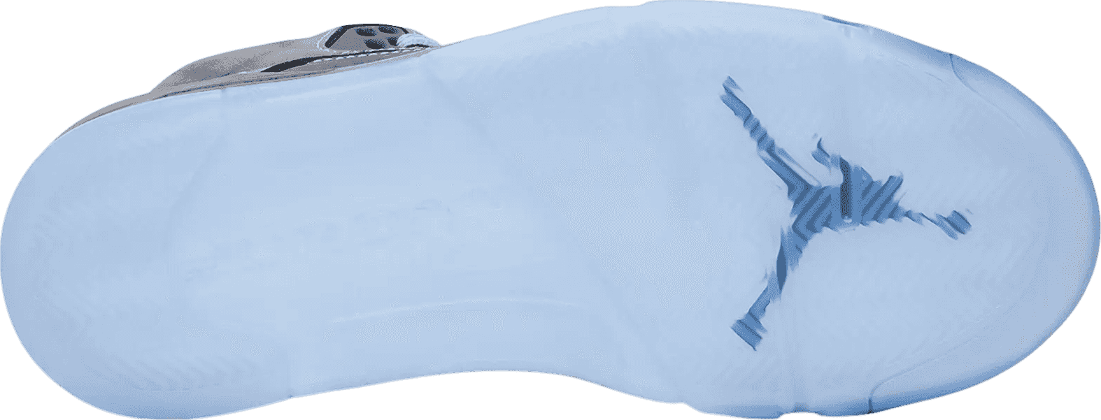 Air Jordan 5 Wolf Grey (2026)